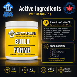 BUILD