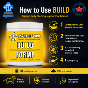 BUILD