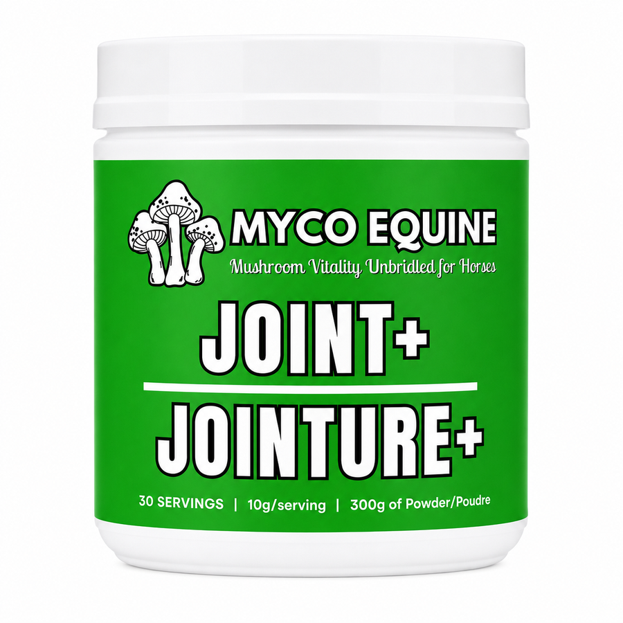 JOINT+