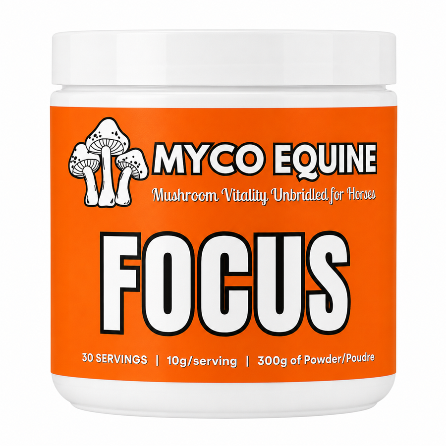 FOCUS