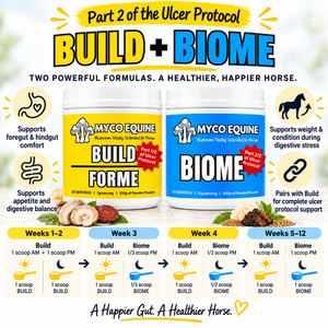 BIOME