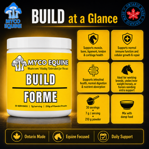 BUILD