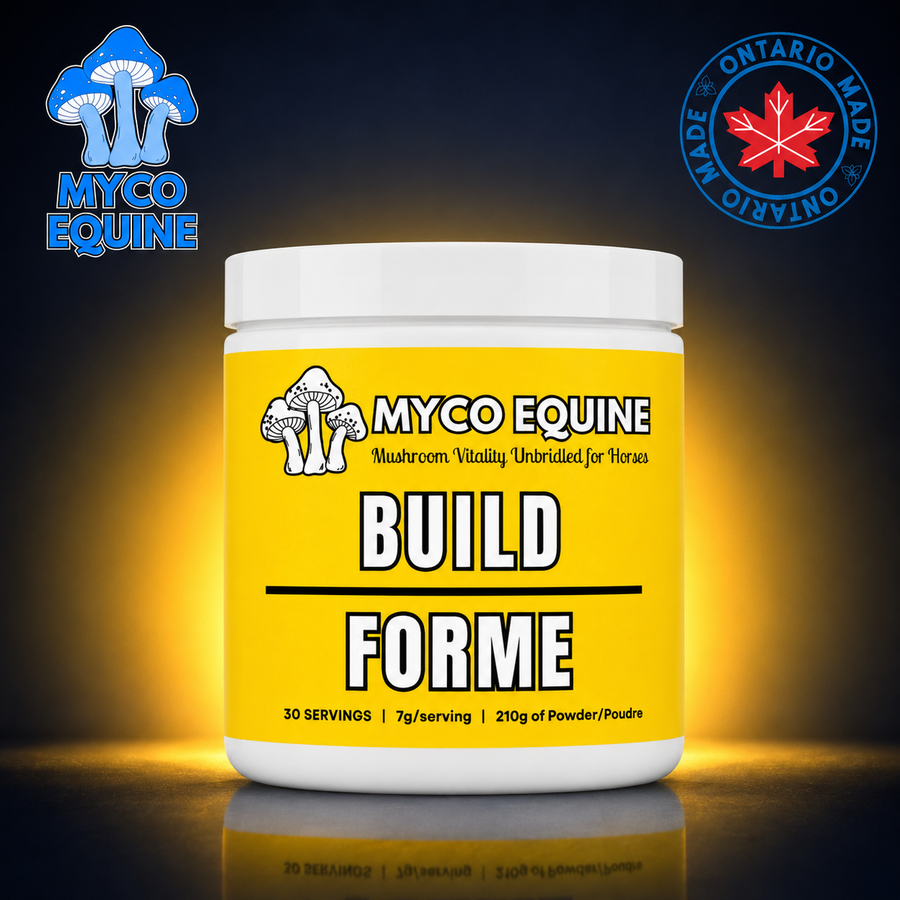 BUILD